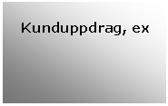 Textruta:  Kunduppdrag, ex